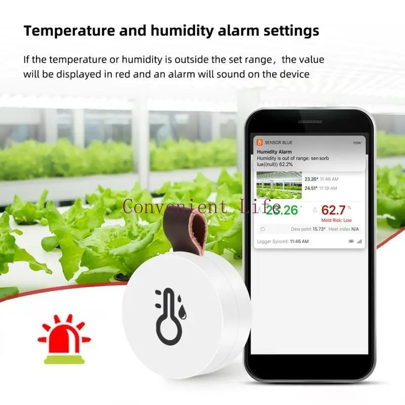 L1EE thermomètre hygromètre sans fil Mini BT5.0 capteur d'humidité température intérieure avec moniteur d'humidité