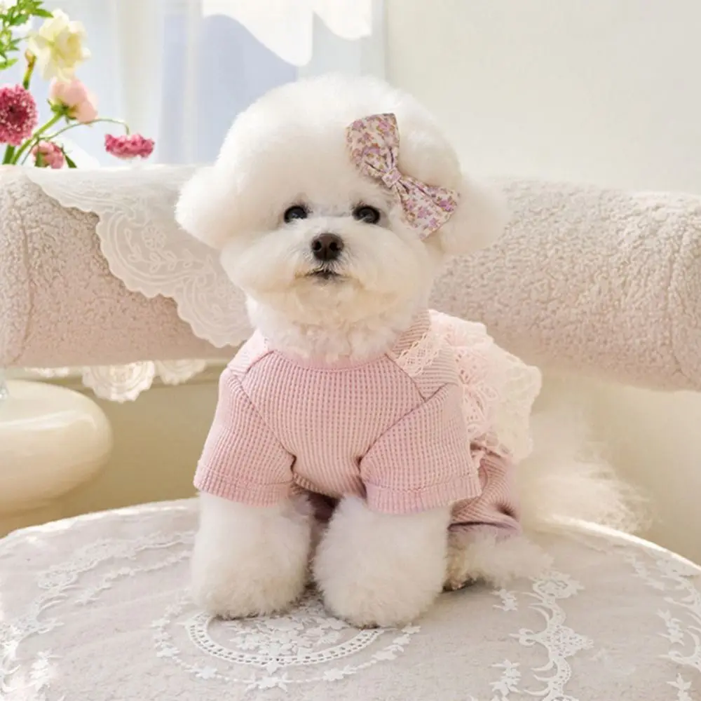 

Pet Supplies Lace Camisole Pet Spring Summer Jumpsuit Waffle Lace Breathable Pet Four Legged Coat Soft Dog Pajamas Autumn