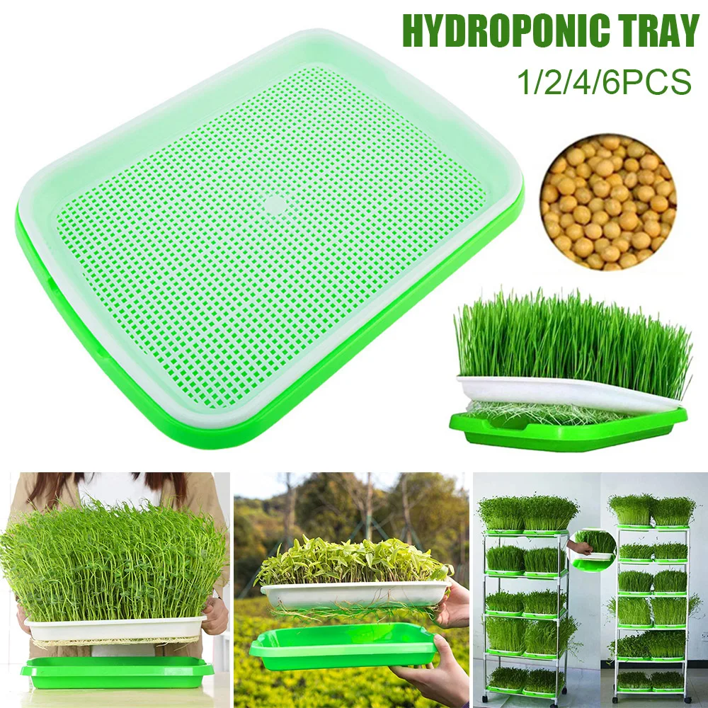 

Seed Sprouter Tray Plant Germination Trays Double Layer Hydroponics Basket Plant Durable Hydroponics Tray Macetas Para Plantas