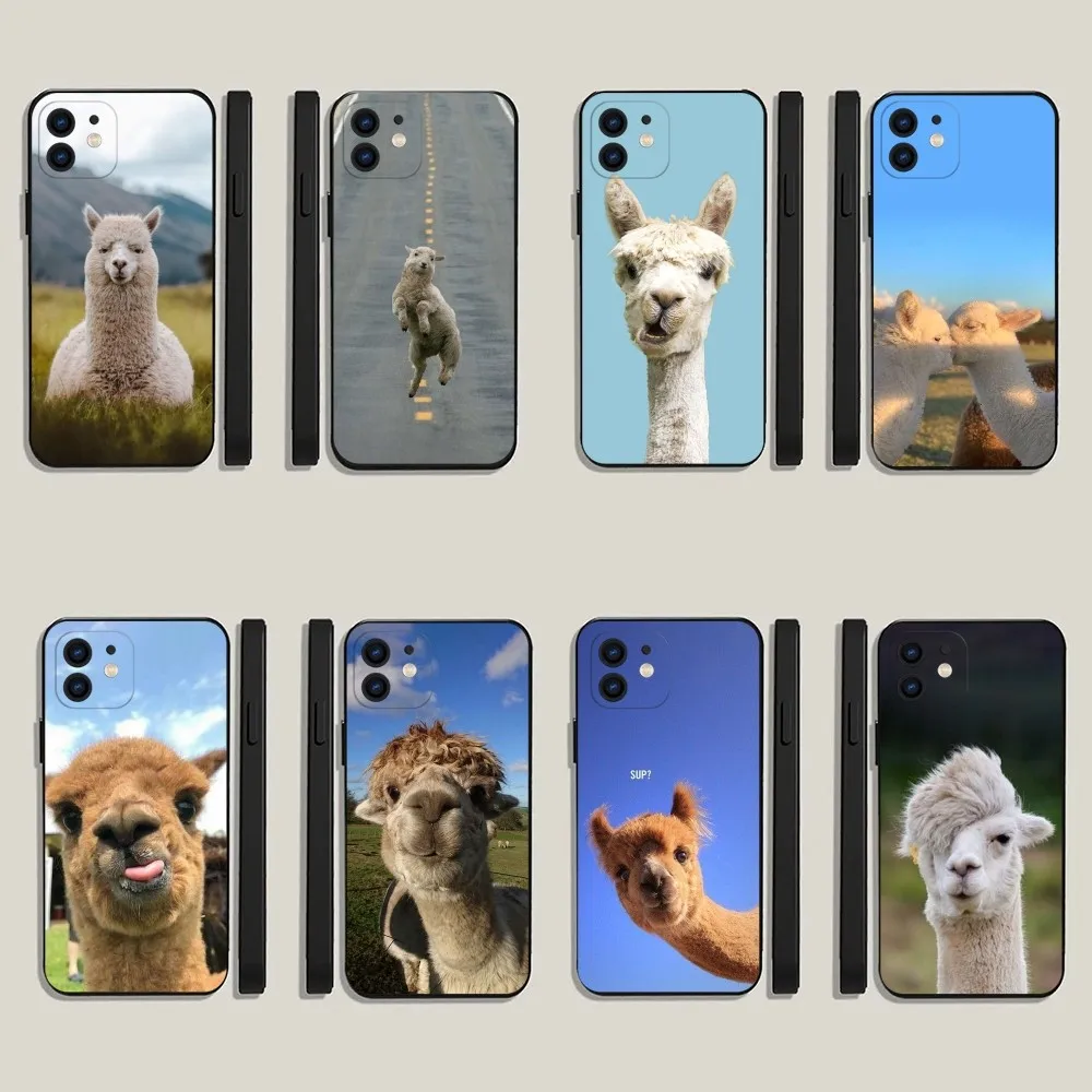 

Lama Llama Alpaca Phone Case For iPhone 15,14,13,12,11,Plus,Pro Max,XS,X,XR,SE,Mini,8,7 Soft Silicone Black Cover