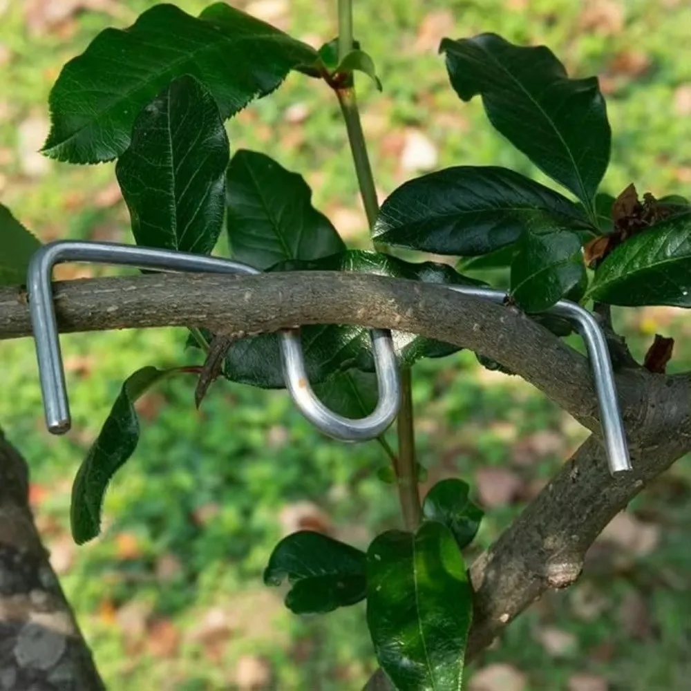 10Pcs Multiple Sizes Branch Bender Reusable M Shaped Fruit Tree Branch Training Clip Strong Fixator Tree Branch Spreader
