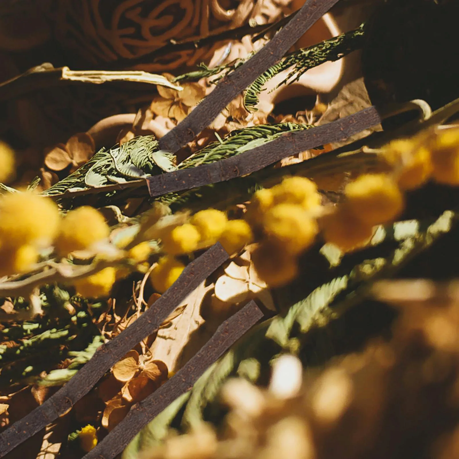 

10Pcs Mini Dry Branches Natural Wood Sticks Rustic DIY Craft Supply Home Decoration Floral Arrangement Accessories