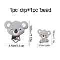 CB-Koala 020