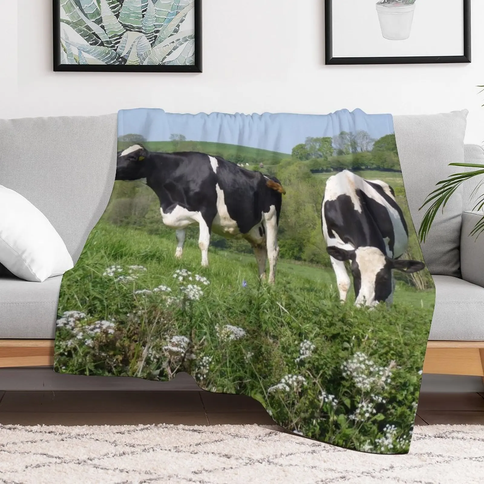 Dairy Cows Grazing Throw Blanket Cozy Sofa Blanket for TV Watching Napping