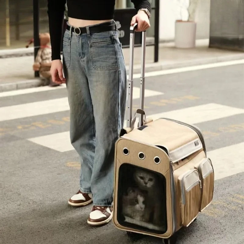 Airline-Approved Convertible Backpack Trolley - XXL Ventilated Carrier for Maine Coon Cats, Double Capacity Wheeled Travel Bag