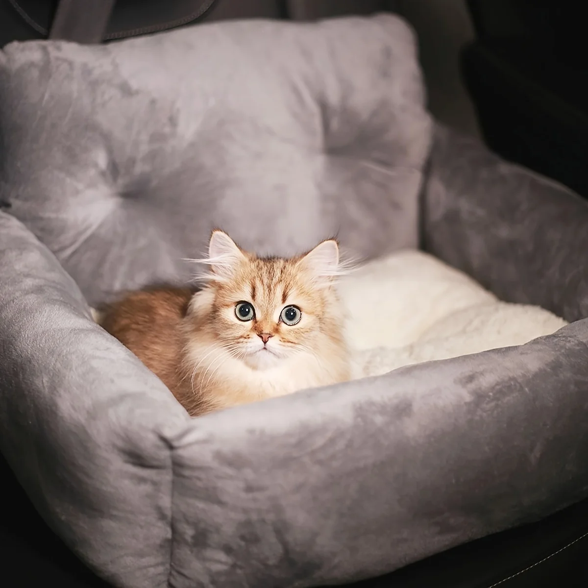 

Car Seat for Cats & Small Dogs - Secure Vehicle Fit with Adjustable Straps, Ergonomic Soft Gray Pet Carrier for Safe Travel