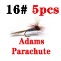 Adams Para