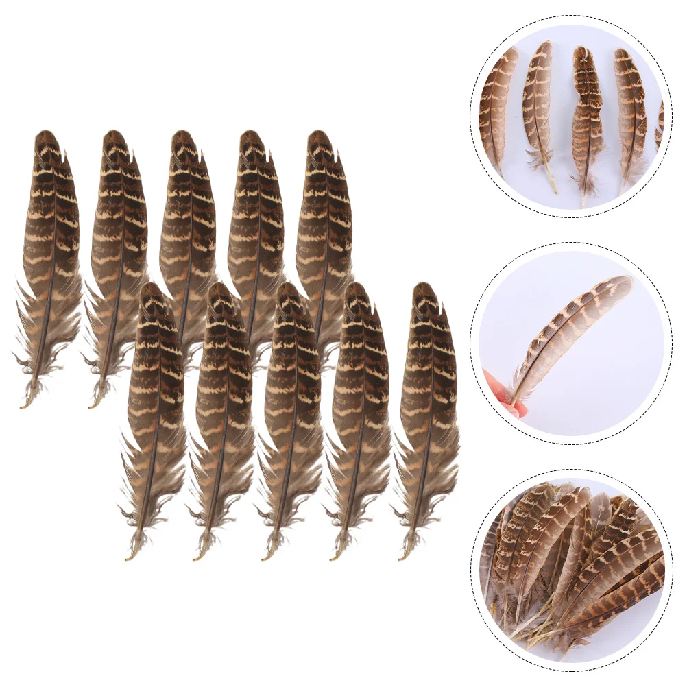 

Pheasant DIY Making Plumes Wall Decor Vases Bulk Supplies for Clothes Fairy Tail