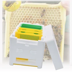 1 pz Bee Queen scatola di accoppiamento Nuc Mini Nucleus Hive Beehive allevamento allevamento polistirolo portatile Harvest Pollnation strumenti di apicoltura