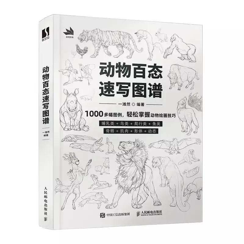 初心者、4シーズン、魚、鳥のパターンのスケッチ、100のペイントと描画アートブック