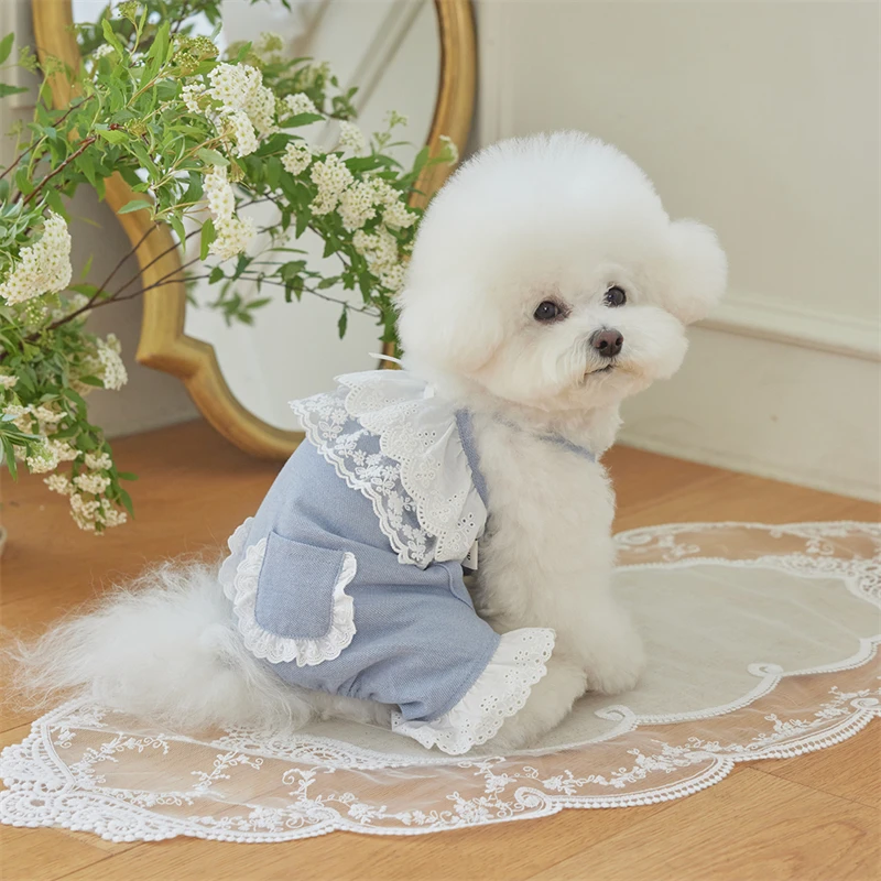 

Dog Clothes Blue Lace Ruffle Puppy Bow Pockets Jumpsuit for Small Medium Large Dog Clothes Onsie Poodle Chihuahua Clothes