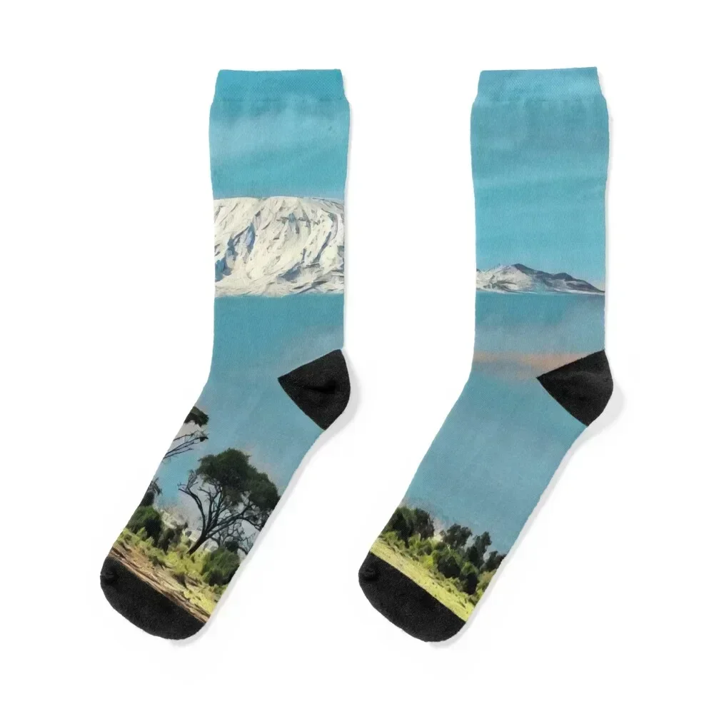 Mount Kilimanjaro Socks gym christmass gift christmas gift loose Socks Girl Men's