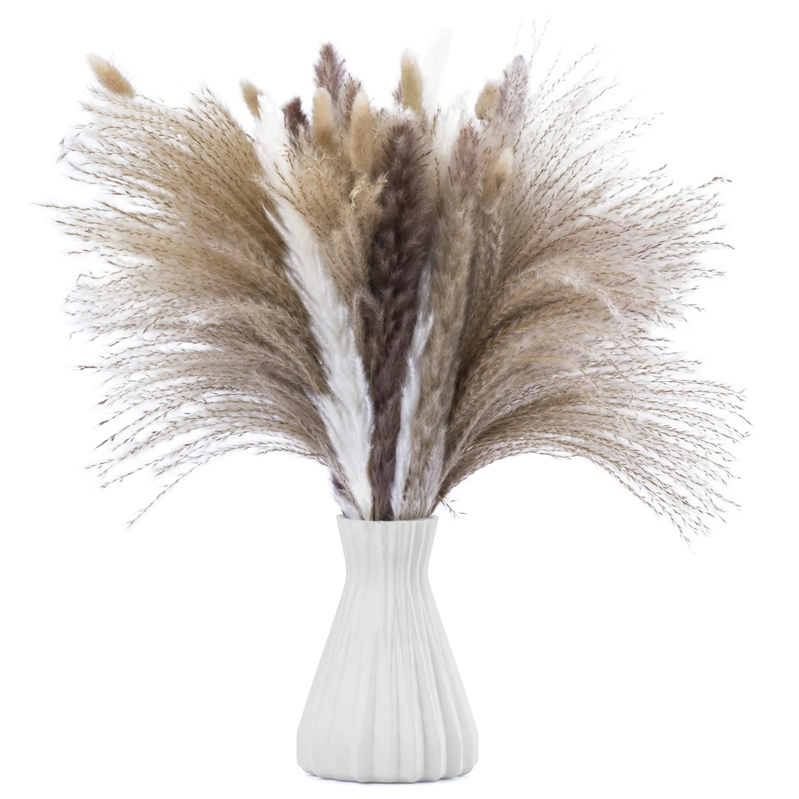 

Dried Pampas Grass Decor Fluffy White & Natural Color Boho Flowers Bunny Tails Reeds for Home Decor Weddings Arrangement