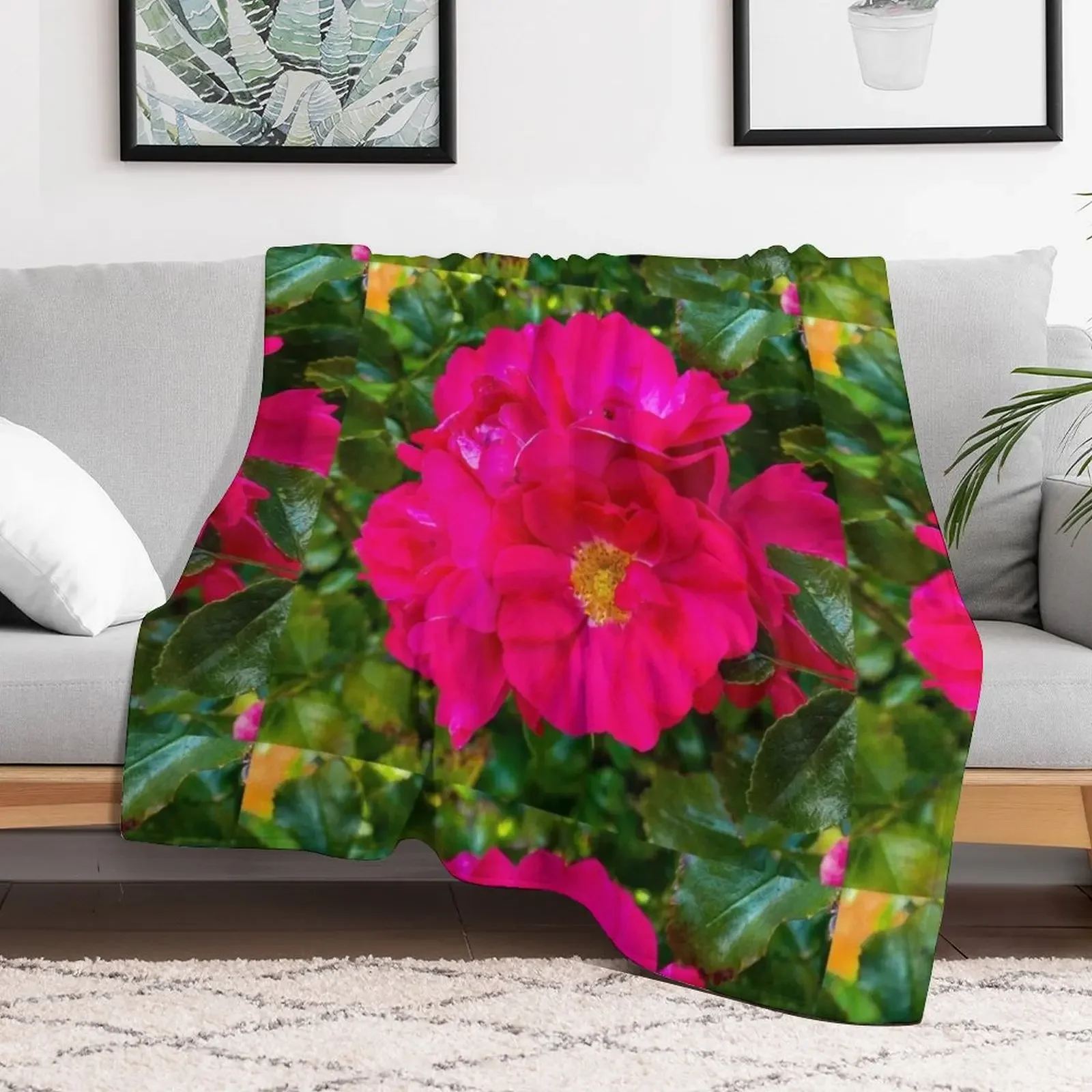 New Bright Pink Roses Are My Favourite Throw Blanket Elegant Warm Throw Blanket for Hotel Home