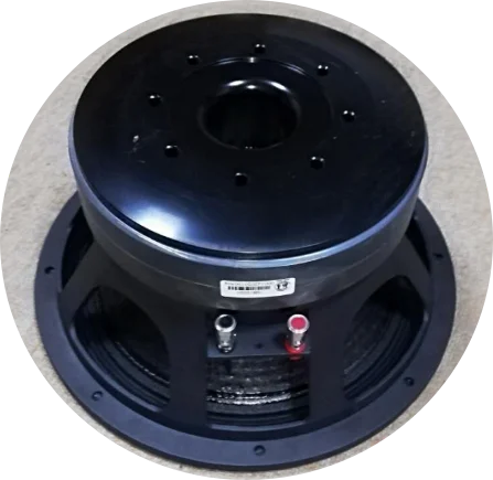 

12'' Dual Magnetic Speakers 2000 Watts 4'' Voice Coil, Professional Speaker System