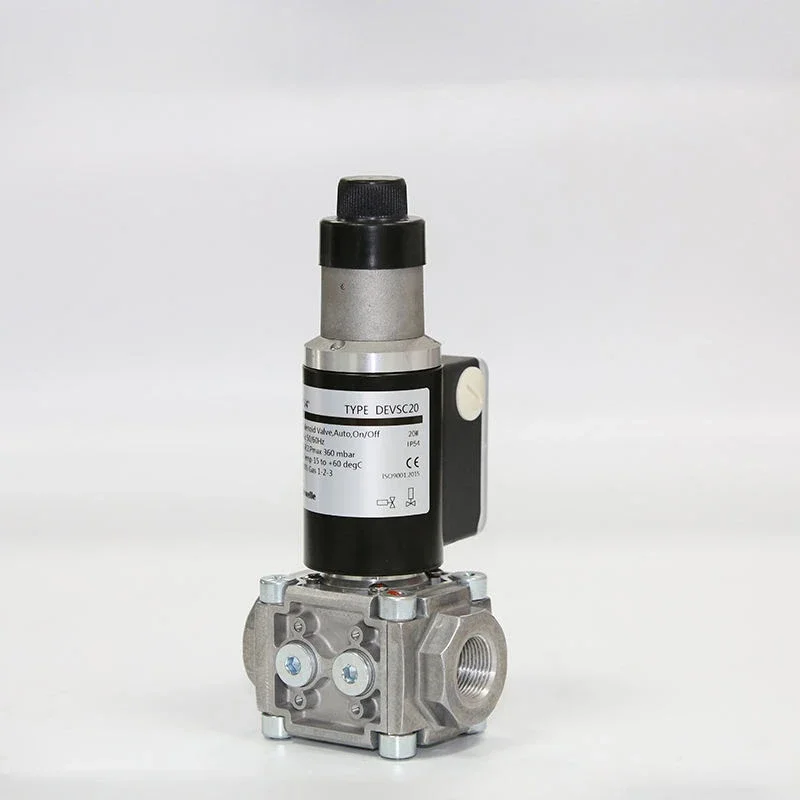 

12v 24v 220V Customized 360 Rotary Solenoid China Factory Electrovalvula Solenoide Shutoff Valves Gas Solenoid