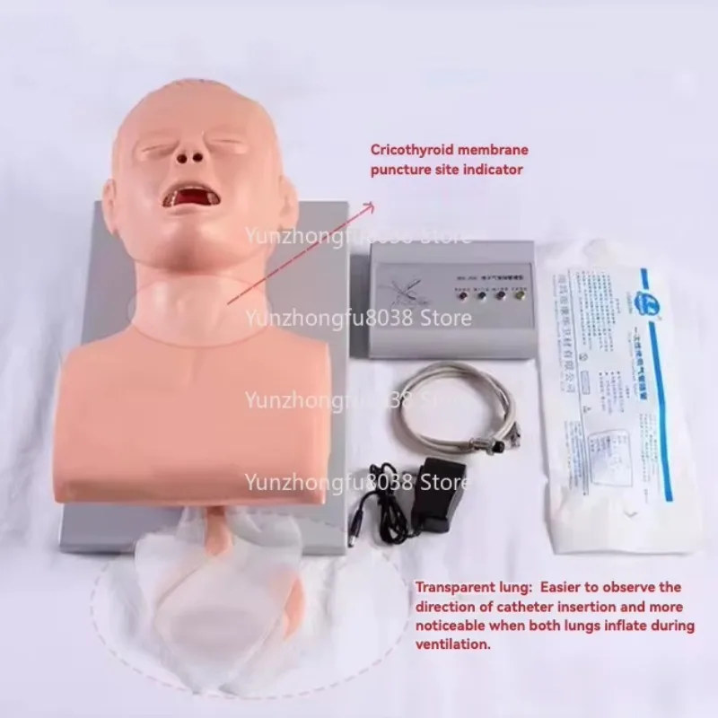 Teaching Model Human Body Electronic Endotracheal Intubation Simulation Airway With Teeth Pressure Equipment 1:1 Life Size