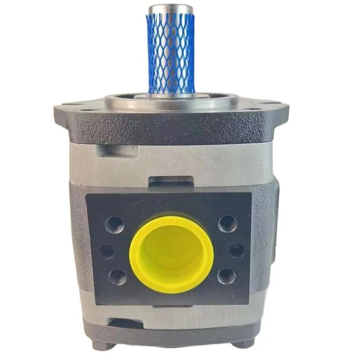 Voith IPV Series Gear Pump IPV3 IPV4 IPV5 IPV IPV6 IPV7 IPV5-50 171 H68.905621 2034552 Hydraulic Internal Gear Pump