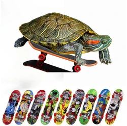 Turtle skateboard small crawling pet toy, sturdy metal material, diverse colors, randomly shipped