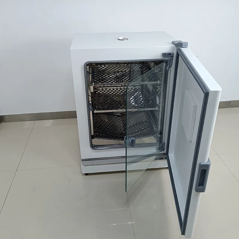 Constant Temperature Laboratory IncubatorMini 43L Incubator Electric Heating