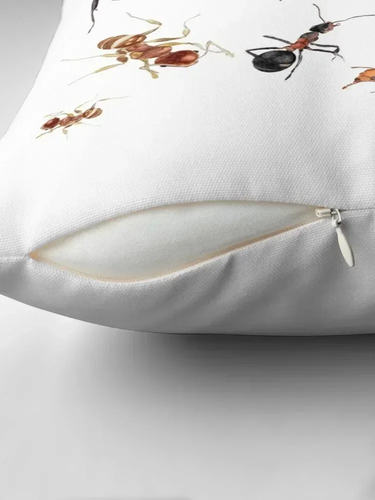 A Medley of Ants Throw Pillow Cushion Cover For Sofa Sofas Covers luxury decor pillow