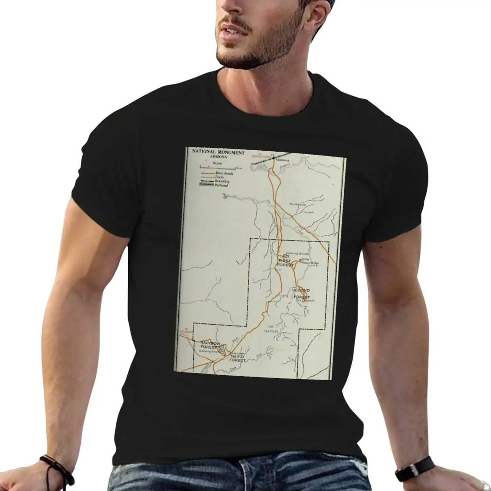 

Vintage Petrified Forest National Park Map (1919) T-Shirt new edition cheap stuff oversized shirts men graphic