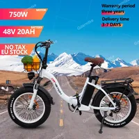 Electric Bike Folding 750W Powerful Motor 48v20ah Samsung Battery 20*4.0 Inch Fat Tire E Bike Adjustable Speed Electric Bicycle