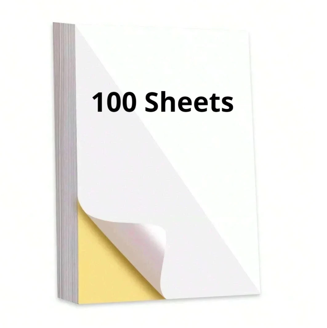 A4 Thermal Paper Quick-Dry 10 Years Storage High Sensitivity Printer Paper for Office Meeting/Study Work/PDF Files A4 Printers