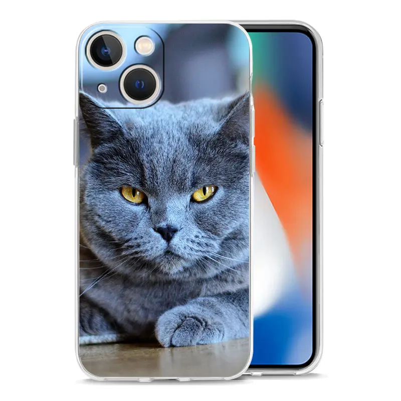 Cartoon Cute Cats Background Luxury Clear Phone Case For iPhone 15 16 14 13 12 11 Pro Max XS X XR SE 7 8 Plus Shockproof Cover