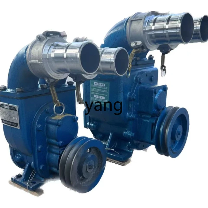 

CX Manure Pump Farm Strong Manure Pumping High Lift without Blocking Self-Priming Pump