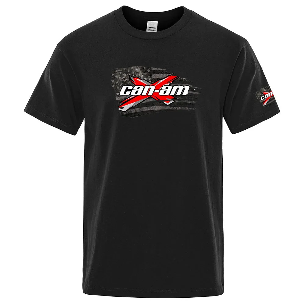 Brp Can Am Motorcyc… - image