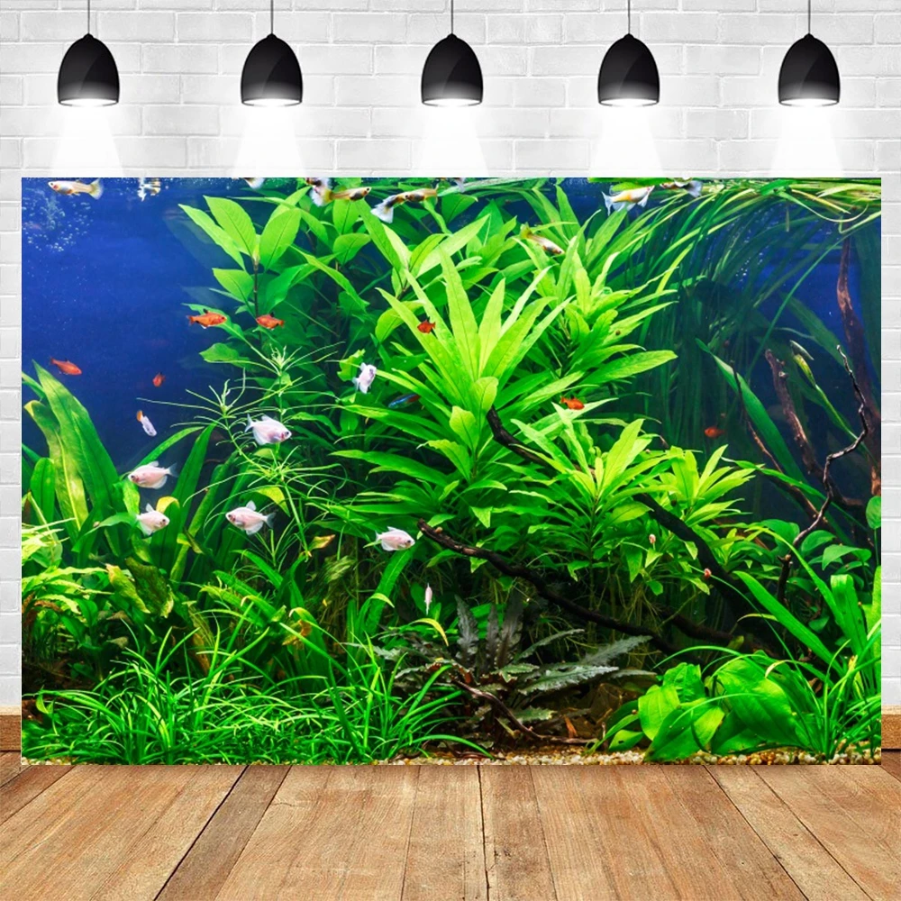 خلفية قاع البحر العالمي تحت الماء للتصوير الفوتوغرافي المحيط تحت سطح البحر سمك القرش المرجاني حوض السمك ديكور عيد الميلاد دعائم خلفية الصورة