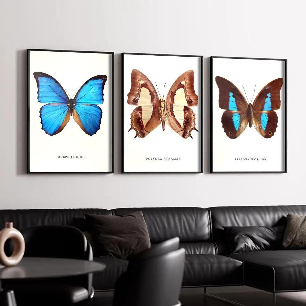 Butterfly Specimen Poster HD Art Mural Wallart Waterproof Vintage Print Decor for Home Decoration DIY Durable