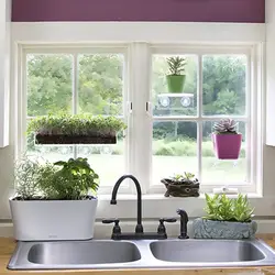 Suction Cup Window Shelf Acrylic Plant for Garden Bathroom Shelves Indoor Plant Holder Dropship