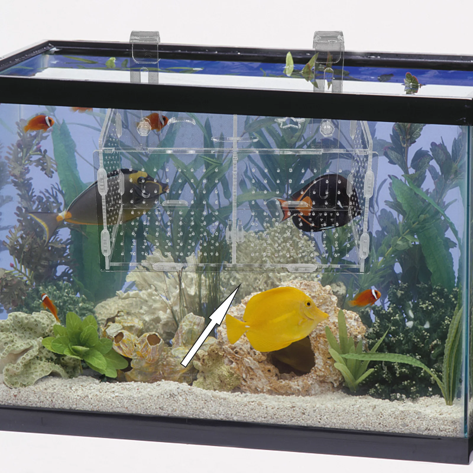 

1Set Fish Isolation Box Aquarium Breeding Isolation Box Acrylic Storage Container for Fish Tank Hatchery Incubator Easy Install