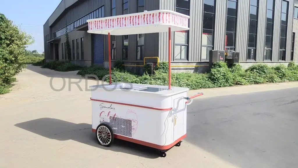 Factory Price  Refrigerated Ice Cream Gelato Popsicle Display Cart Trolley Van Street Hand Push Gelato Ice Cream Cart