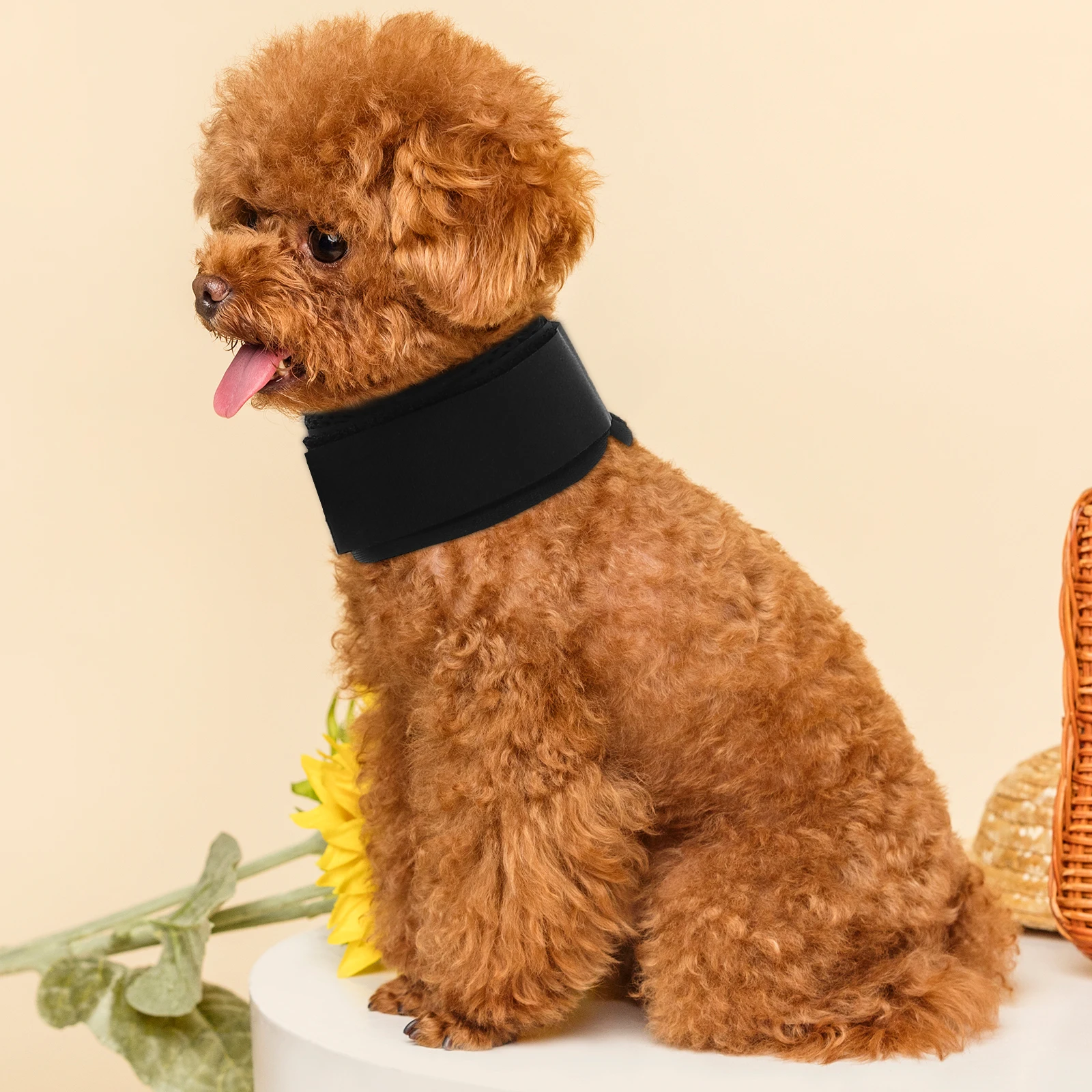 

Adjustable Pet Bathing Tether Strong Suction Cup Dog Grooming Shower Collar Easy Install Comfortable Webbing Material