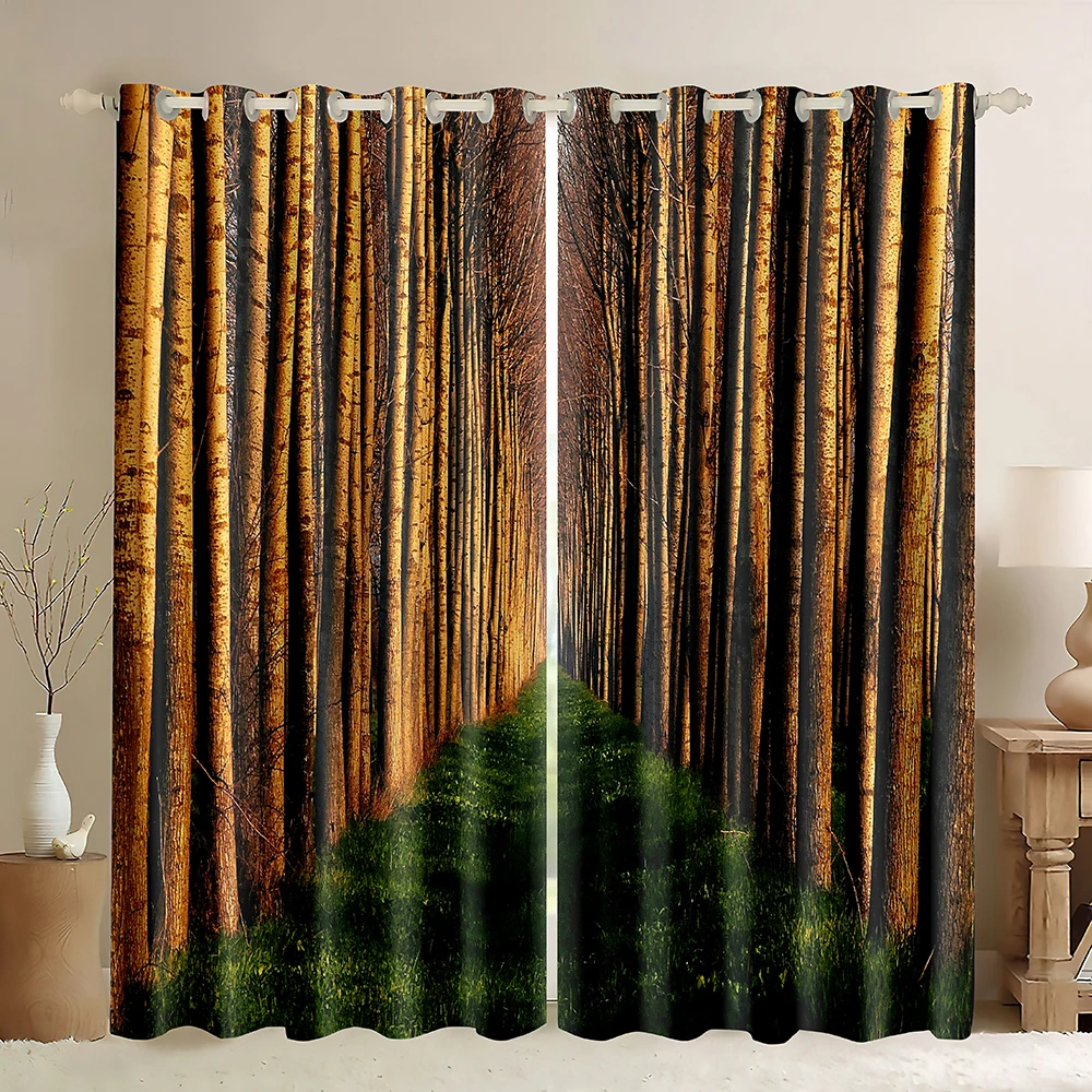 

Forest Window Curtains, Sun Rays Entering Forest Trees Path Green Lawn,Sunshine Jungle Scene Nature Scene Blackout Curtains