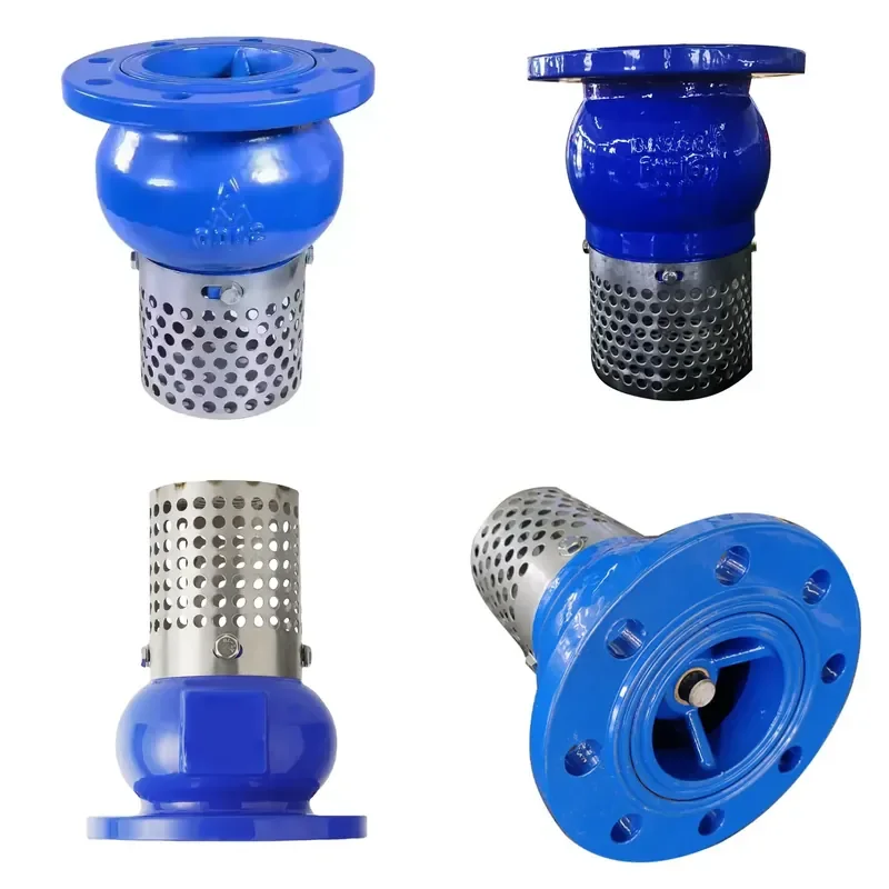 High Quality Hydraulic Control Flange Connection Cast Iron Filter Bottom Valve