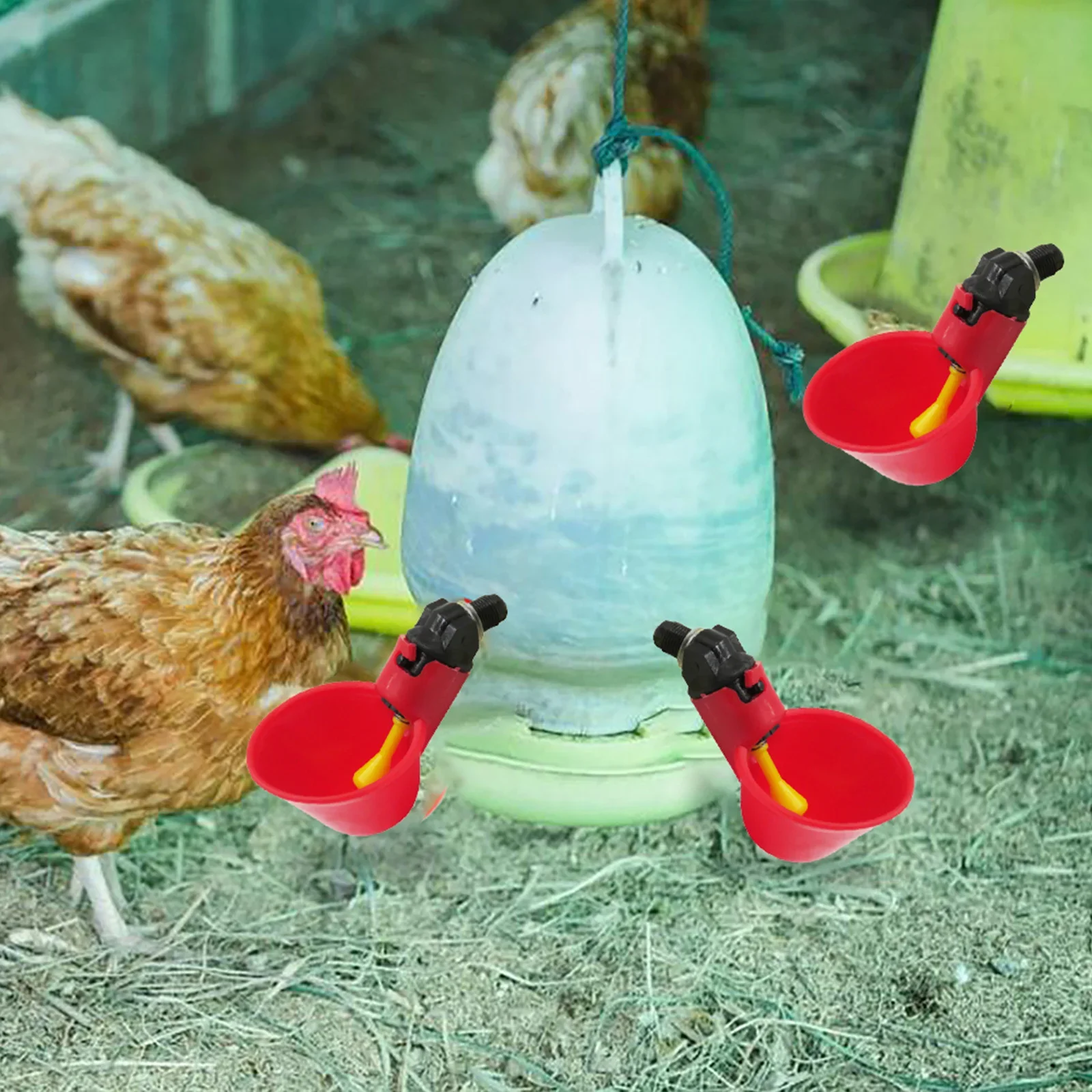 Chicken Drinking Cup Automatic Chicken Drinker Tee Connector Plastic Poultry Nipple Drinkers for Rabbits Duck Farm Equipment