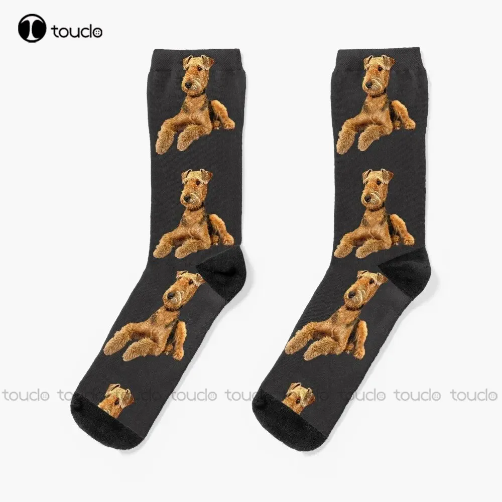 

Airedale Terrier Beautiful Dog Socks Womens White Socks 360° Digital Print Personalized Custom Unisex Adult Teen Youth Socks Art