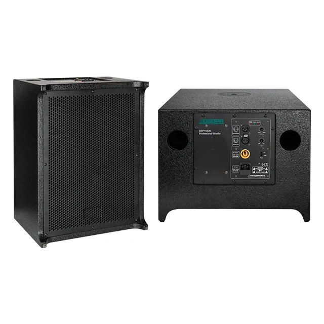 

12inch Line Array Sound System Subwoofer Speaker Driver Professional Audio DJ Outdoor Concert Active 300w Dual 18 Inch Subwoofer