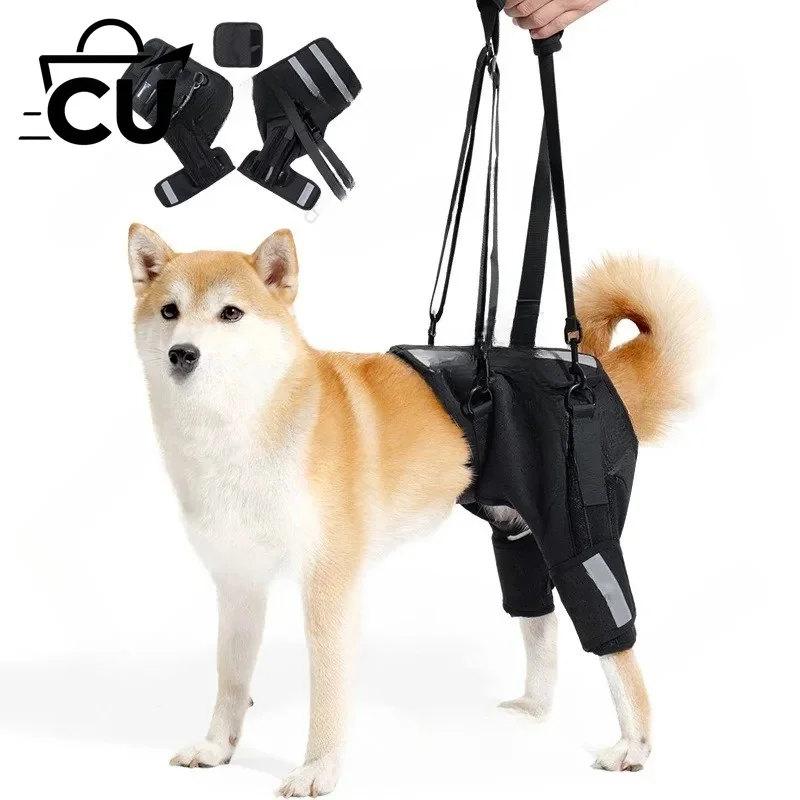 Dog assistance with breathable fish bone protection support spine dog training upstairs pet protective gear