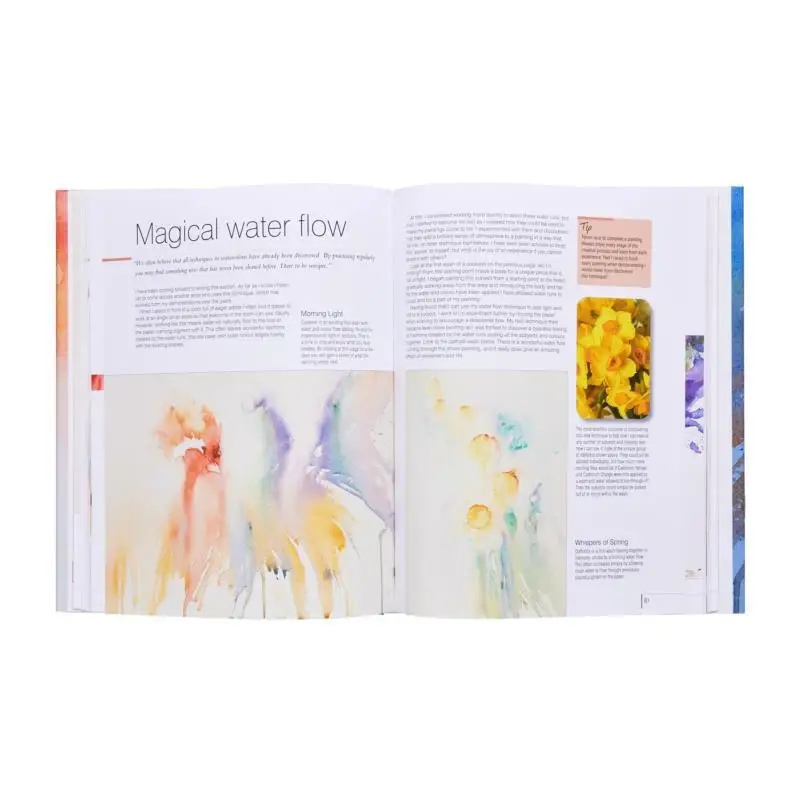 لوحة ألوان مائية جوية من جان هاينز مع تعبير الحرية والأناقة، مطبعة بحث جان هاينز 9781844486748 كتاب