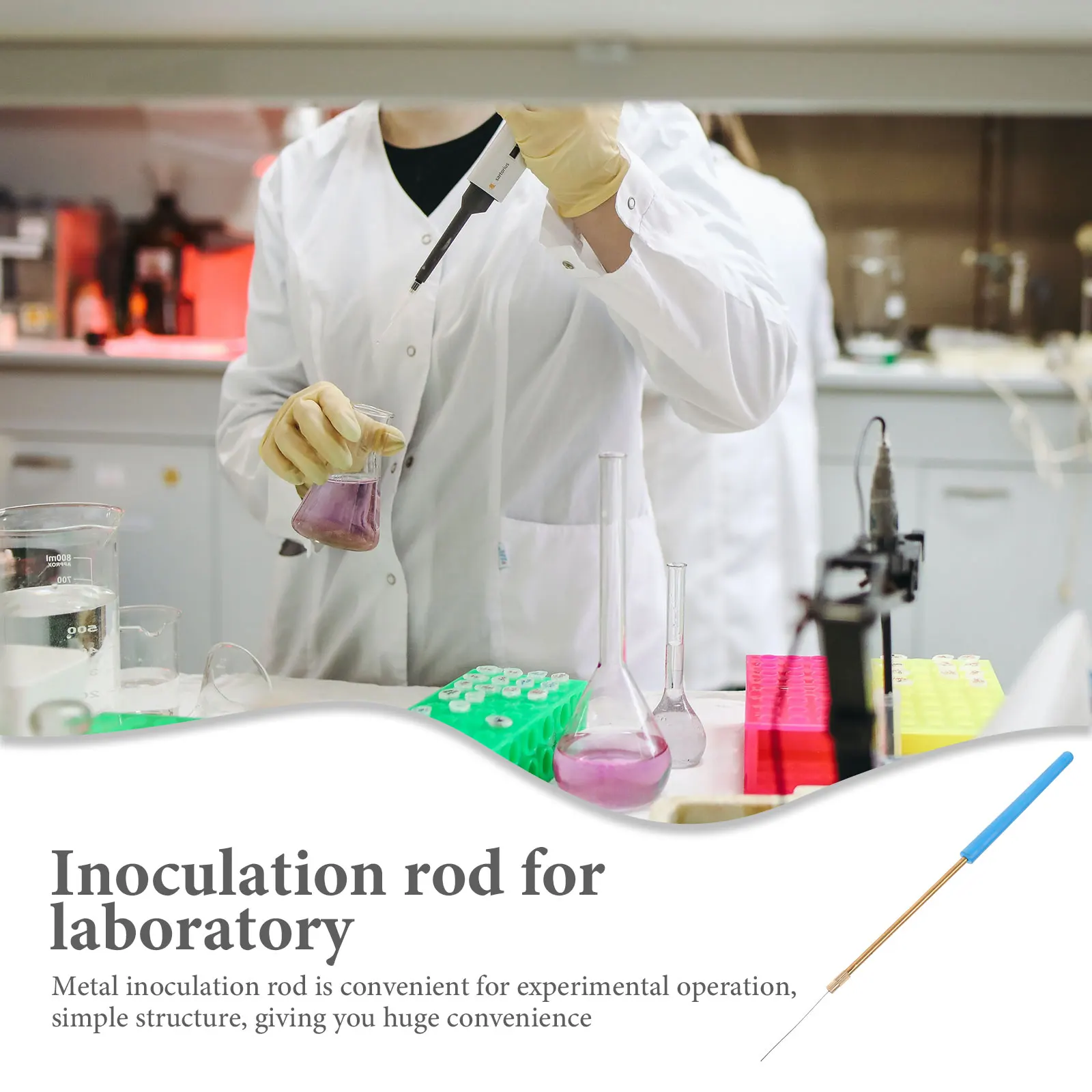 

Metal Inoculation Rod Needle Inoculating Needles Reusable Laboratory for Stick Alloy