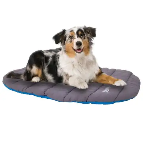 

Chuckit! Pet Water Resistant Travel Pillow Dog Bed, Large, Gray and Blue
