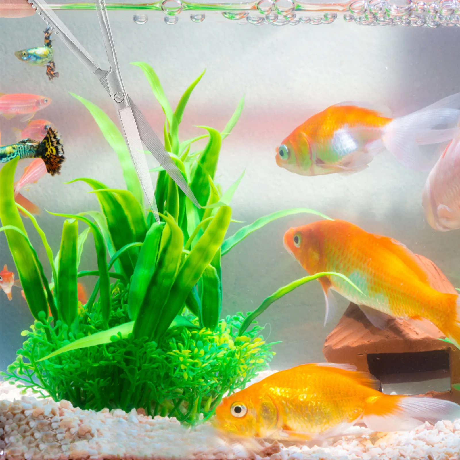 

Высокоточные пружинные ножницы из нержавеющей стали для аквариумных растений, профессиональный инструмент для акваскейпинга для точной обрезки тонких стеблей