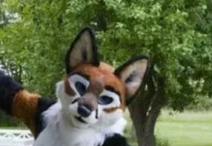 Erwachsenen-Maskottchen-Kostüm: Langhaariger Foxterrier, Brauner Husky-Hundekopf-Fursuit für Partys und Spiele