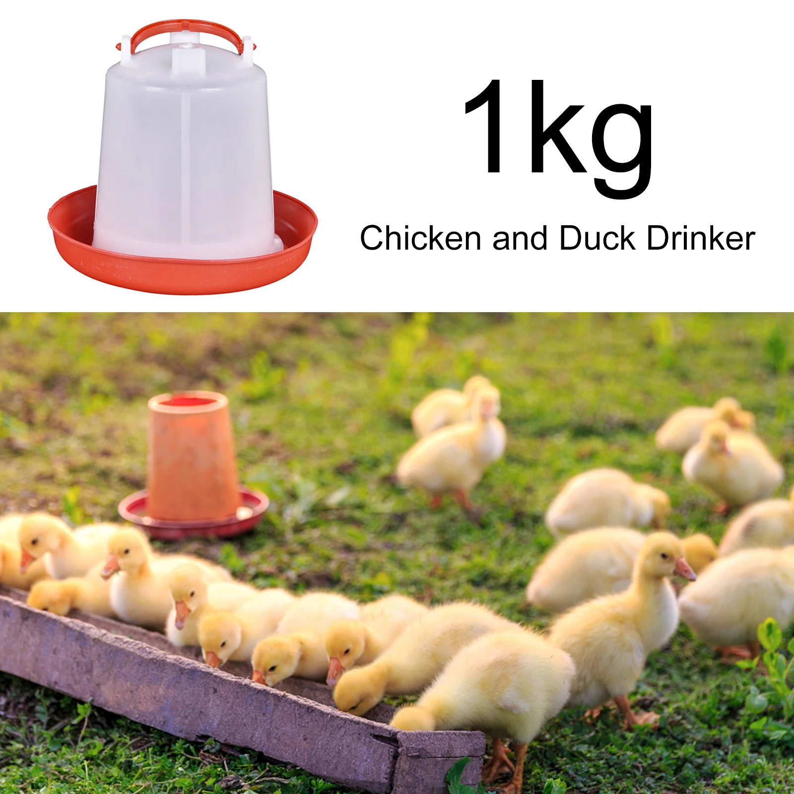 Poultry Water Dispenser Bucket,Chicken Farming Machine Bucket,Quail Drinking Water Bucket, Farm Chicken Coop Water Supply （1L）