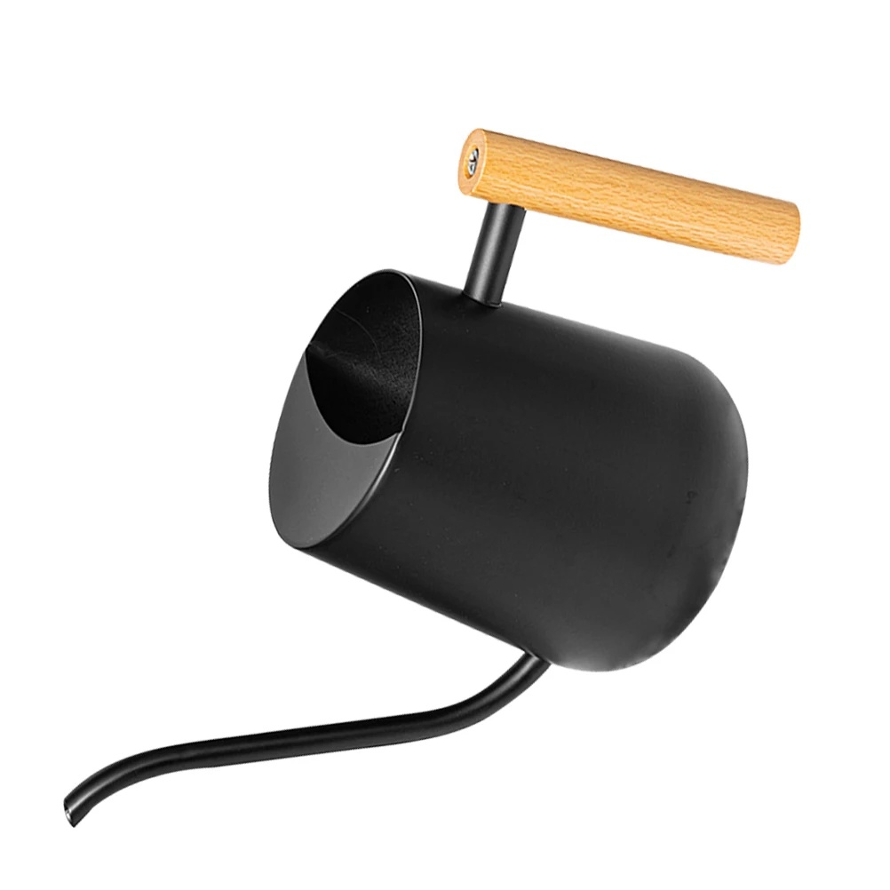 

Stainless Steel Watering Cans 1000ml Black Wood Handle Small Size Ideal for Plants Long Spout Durable Metal
